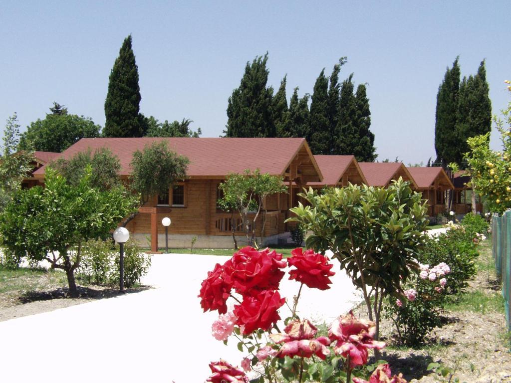 Sandy'S Studios Apartments & Log-Villas Kos-stad Buitenkant foto