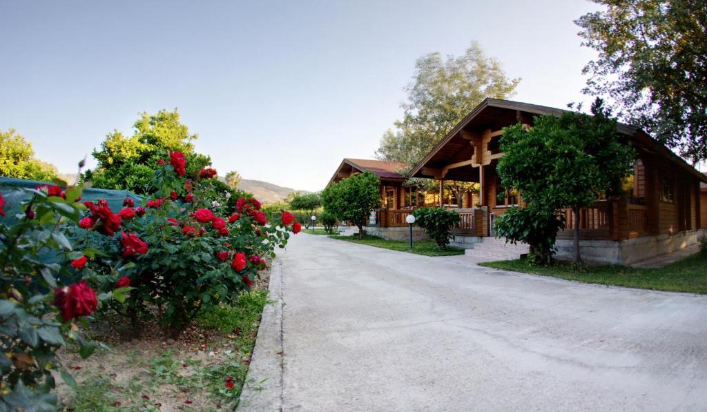 Sandy'S Studios Apartments & Log-Villas Kos-stad Buitenkant foto