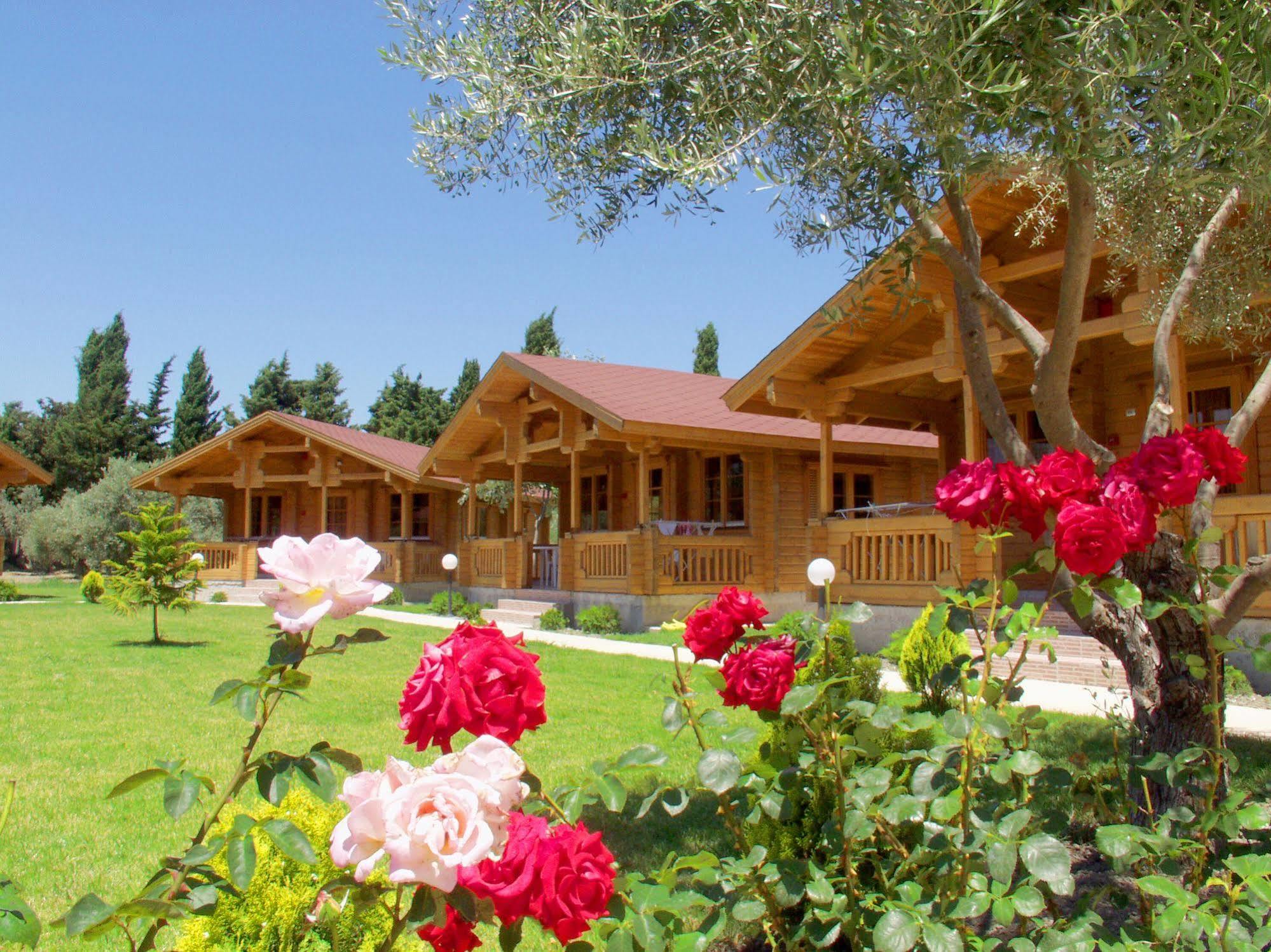 Sandy'S Studios Apartments & Log-Villas Kos-stad Buitenkant foto